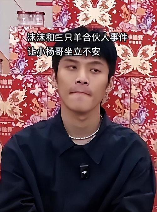 免费吃瓜 独家揭秘小杨哥,独家探秘小杨哥背后的故事