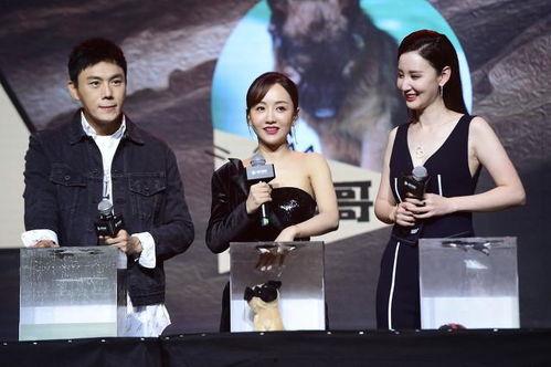 娱乐圈吃瓜爆料汇总最新