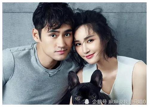 娱乐吃瓜明星小分队,小分队吃瓜明星背后的故事