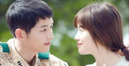 娱乐圈吃瓜嗑cp小说推荐